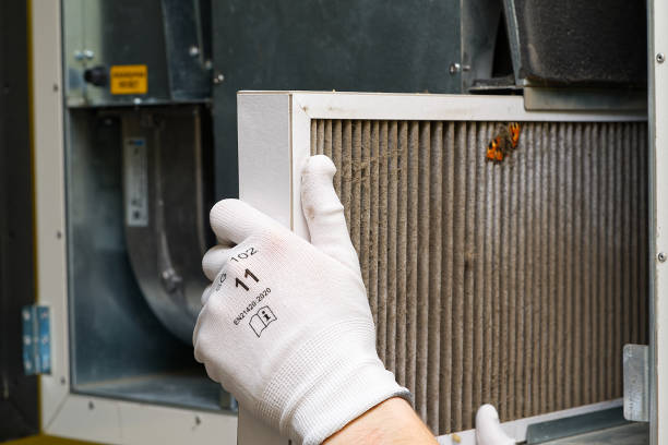 Best Air Vent Cleaning Services  in Carlisle, IA