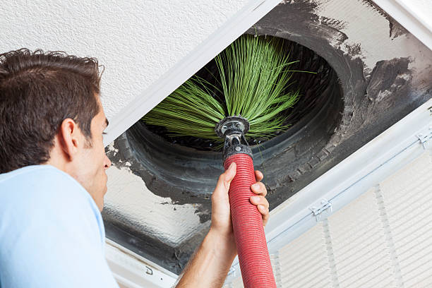 Best Air Duct Cleaning Near Me  in Carlisle, IA