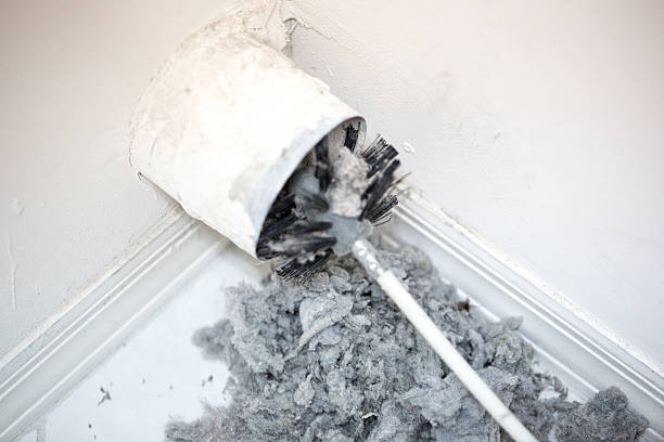 Best Affordable Duct Cleaning Services  in Carlisle, IA